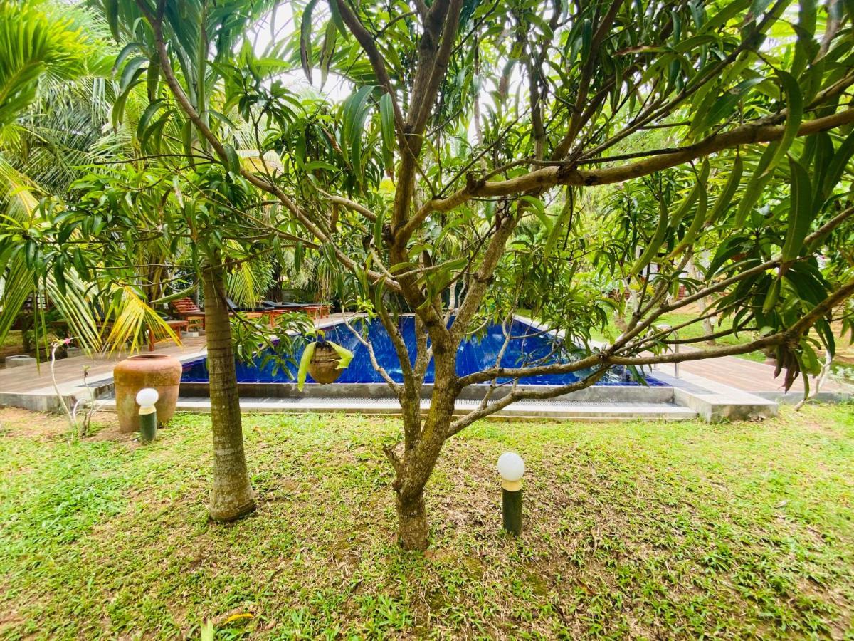 Hidden Garden タンガラ エクステリア 写真
